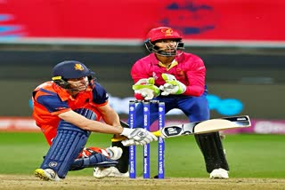 UAE vs NED  T20 World Cup  टी20 वर्ल्ड कप  यूएई बनाम नीदरलैंड