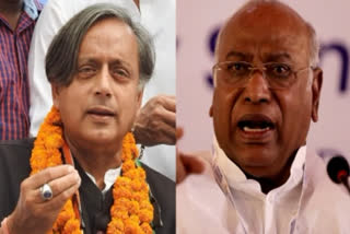 Congress party polls  Kharge vs tharoor  Congress all set to elect non Gandhi chief  Congress presidential polls  Sonia Gandhi party president  Shashi Tharoor party president  Kharge congress president  137 ವರ್ಷಗಳ ಇತಿಹಾಸದಲ್ಲಿ ಆರನೇ ಅಧ್ಯಕ್ಷೀಯ ಚುನಾವಣೆ  ಎಐಸಿಸಿ ಅಧ್ಯಕ್ಷ ಸ್ಥಾನಕ್ಕೆ ಚುನಾವಣೆ  ಖರ್ಗೆಯವರ ಆಯ್ಕೆ ಬಹುತೇಕ ಖಚಿತ  ಮಲ್ಲಿಕಾರ್ಜುನ ಖರ್ಗೆ ಮತ್ತು ಶಶಿ ತರೂರ್ ನಡುವೆ ಸ್ಪರ್ಧೆ  ಕಾಂಗ್ರೆಸ್ ಅಧ್ಯಕ್ಷೀಯ ಚುನಾವಣೆ  ಭಾರತ್ ಜೋಡೋ ಯಾತ್ರಾ ಶಿಬಿರದಲ್ಲಿ ಮತದಾನ  elect non Gandhi chief Monday