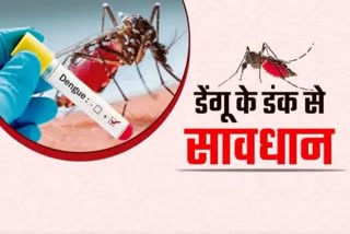 increasing cases of dengue in delhi