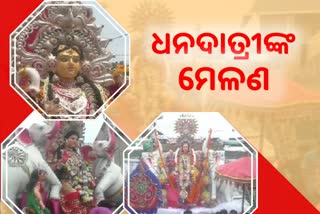 ଧରାପୃଷ୍ଠରୁ ବିଦାୟ ନେଉଛନ୍ତି ଧନଦାତ୍ରୀ