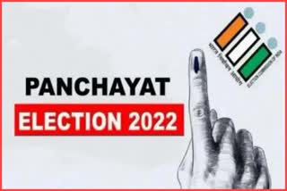 panchayat elections in haryana