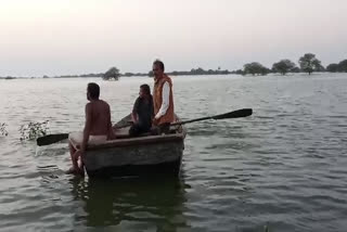 boat drowned in chambal river