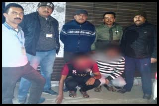shimla police recover chitta