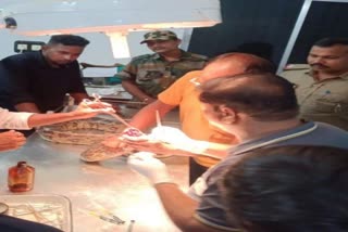 treatment of injured python in berhampur