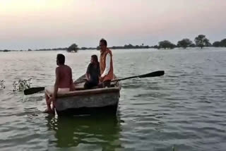 5 women drown, 3 save their lives by swimming as boat capsizes in Chambal river