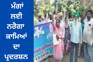 Protest of NREGA workers against Punjab government in Bathinda, they said that they will not clear the stubble on daily wages.