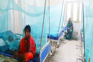 People Suffering from dengue