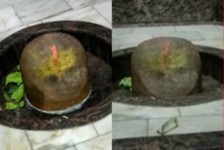 face emerged in Shivling