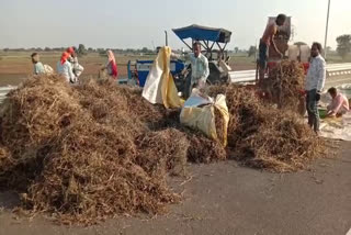 mumbai delhi expressway farmers harvest crop