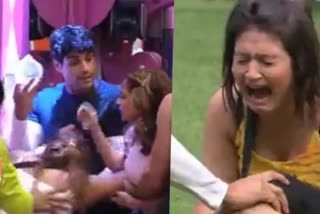 Bigg Boss 16: Captaincy battle turns house into a war zone