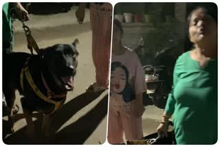 Controversy over dog roaming in Ghaziabad