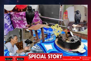 Special Story