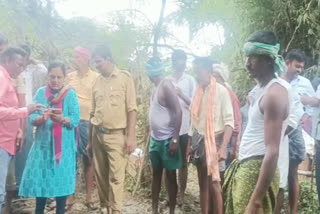 Cattle washed away in Sulekere ditch