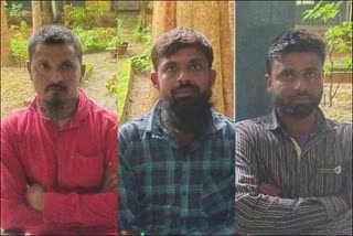 5-years-imprisonment-and-50-thousand-fine-for-three-who-stole-sandalwood