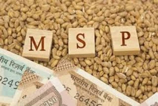 Cabinet increases MSP for Rabi crops