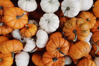 Pumpkins have surprising health benefits for body