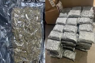 DRI seizes ganja worth Rs 40 crore in MumbaiEtv Bharat