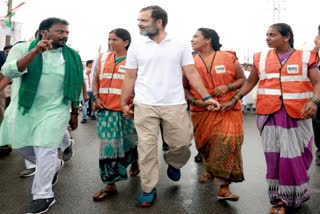 कांग्रेस सांसद राहुल गांधी ने पार्टी की 'भारत जोड़ो यात्रा' की आज की शुरुआत आंध्र प्रदेश के कुरनूल के छगी गांव से की