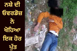 Ludhiana overdose drugs death news