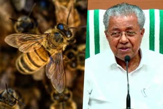 Honeybee  Honeybee attack  Kerala Ministry  Compensation  തേനീച്ച  കടന്നല്‍  മരിക്കുന്നവര്‍  നഷ്‌ടപരിഹാരം  മന്ത്രിസഭ  തിരുവനന്തപുരം  ജീവഹാനി  സെന്‍ട്രല്‍ വെയര്‍ ഹൗസിംഗ് കോര്‍പ്പറേഷന്