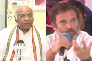 ask-kharge-ji-rahul-gandhi-on-his-role-in-party
