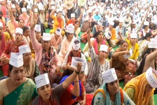 Third Grade Teachers on Hunger Strike