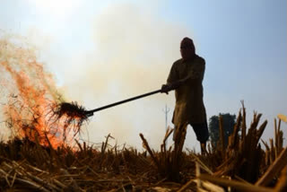 Union Minister Bhupender Yadav criticizes Punjab, praises UP and Haryana govt for stubble burning control