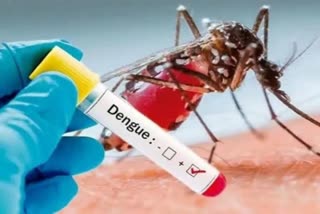 जौनपुर में डेंगू