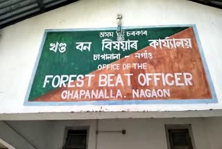 Wood Seized in Nagaon