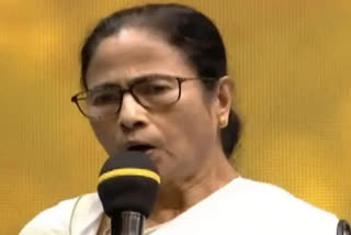 "We did not drive away Tata from Singur but CPI-M did..." says Mamta Banerjee
