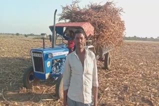 Shivpuri Farmer Donated 25 Bighas Of Fodder