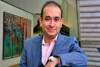 diamond businessman Nirav Modi