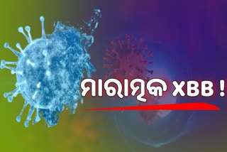 XBB Variant: ଡରାଇଲାଣି ଆଉ ଏକ ଭାରିଆଣ୍ଟ, ଜାଣନ୍ତୁ କେତେ ମାରାତ୍ମକ XBB