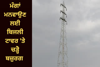In Pathankot, elders climbed the electricity tower to make demands, accused the government of breach of promise.