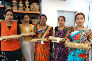 chhattisgarh korba district Women Self Help Group created unique eco dolby system
