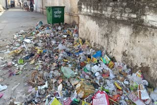 बिलासपुर में कचरा