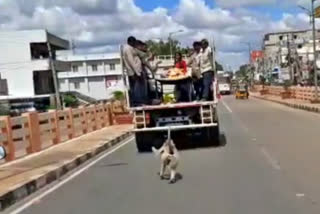 Monkeys running along with funeral vehicle  Monkeys running along the chariot of Vaikuntha  Monkey attend funeral in Andhra Pradesh  ವೈಕುಂಠ ಯಾತ್ರೆಯ ವಾಹನದ ಹಿಂದೆ ಓಡಿದ ಕೋತಿ  ಅನ್ನ ನೀಡಿದ ವಿಶ್ವಾಸ  ತನ್ನ ಹಸಿವು ನೀಗಿಸಿದವರು ಇನ್ನಿಲ್ಲ  ಕೋತಿಯೊಂದು ಅಂತ್ಯಕ್ರಿಯೆಯಲ್ಲಿ ಪಾಲ್ಗೊಂಡಿರುವ ಘಟನೆ  ರಸ್ತೆ ಬದಿ ಮಿರ್ಚಿ ಅಂಗಡಿ