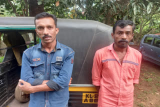 marijuana seized  ganja seized in pathanamthitta  ganja seized in pathanamthitta and two arrested  ganja seized  pathanamthitta crime news  മുട്ട രൂപത്തിൽ കഞ്ചാവ് വിൽപ്പന  കഞ്ചാവ് കേസ്  കഞ്ചാവ് പിടികൂടി  കഞ്ചാവുമായി രണ്ട് പേർ പിടിയിൽ  മുട്ട വിൽപ്പന എന്ന വ്യാജേന കഞ്ചാവ് വിൽപ്പന  പത്തനംതിട്ടയിൽ കഞ്ചാവ് വിൽപ്പന  കഞ്ചാവ് വിൽപ്പന നടത്തിയവർ പിടിയിൽ  കഞ്ചാവ് കേസ് രണ്ട് പേർ അറസ്റ്റിൽ  കഞ്ചാവ് കേസ് പത്തനംതിട്ട  ഓട്ടോറിക്ഷയിൽ കറങ്ങി നടന്ന് കഞ്ചാവ് വിൽപ്പന  ഓട്ടോറിക്ഷയിൽ കഞ്ചാവ് വിൽപ്പന  കഞ്ചാവ് വിൽപ്പന