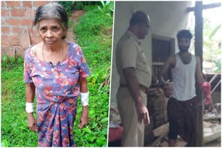 youth attacked his mother  youth attacked his mother in Kannur  Kannur  കണ്ണൂരില്‍ മകന്‍ അമ്മയെ വെട്ടി പരിക്കേല്‍പ്പിച്ചു  യുവാവ് അമ്മയെ വെട്ടി പരിക്കേല്‍പ്പിച്ചു  പാനൂര്‍  കൊളവല്ലൂര്‍ പൊലീസ്  മകന്‍ അമ്മയെ വെട്ടി പരിക്കേല്‍പ്പിച്ചു