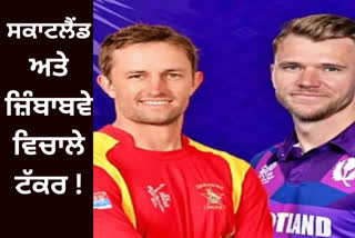 Do or die match for Scotland and Zimbabwe in T20 World Cup, loser will be out of World Cup