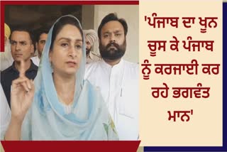 Harsimrat Badal visited Mansa a simple target on the maan government