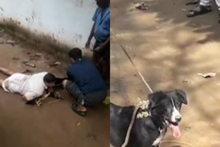 man  tied up a bitten dog in kerala kozhikode