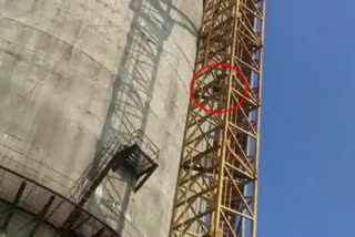 worker-protested-by-climbing-tower-for-diwali-bonus