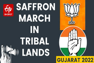 Gujarat has the fifth-highest Scheduled Tribes (ST) population in terms of absolute numbers in India. Nearly one-seventh of the state population is Adivasi, mainly concentrated in the eastern districts of the state bordering Rajasthan and Maharashtra.