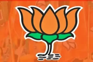 UP: With eye on Lok Sabha polls, BJP reaches out to Pasmanda Muslims