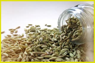 Benefits of Fennel