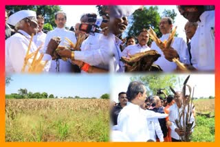 Uddhav Thackeray visit Aurangabad