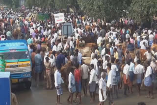 தளவாய்குளம் சந்தையில் ரூ.1 கோடி விற்பனையான ஆடு, கோழி...