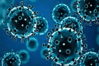 covid 19 infection rate is declining in india