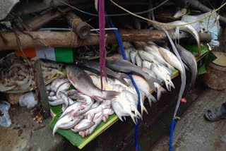 accident-at-saltlake-baisakhi-fish-market-injured-six-people